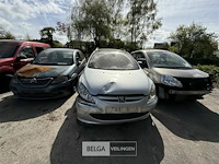 Peugeot 207, enkel voor vergunninghouders en erkende centra voor verschrotting - afbeelding 6 van  11