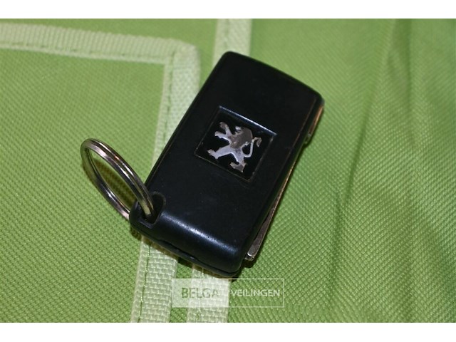 Peugeot 207 - afbeelding 12 van  17