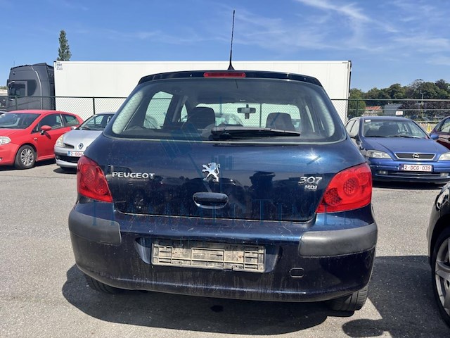 Peugeot 307 1.6 hdi d-sign, 2008 - afbeelding 6 van  39
