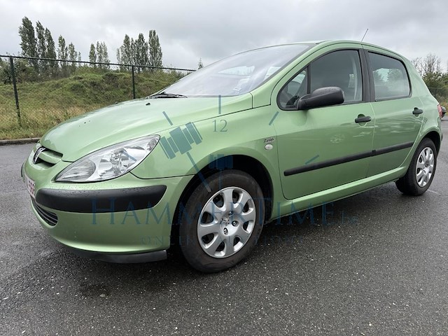 Peugeot 307, 2004 - afbeelding 1 van  30