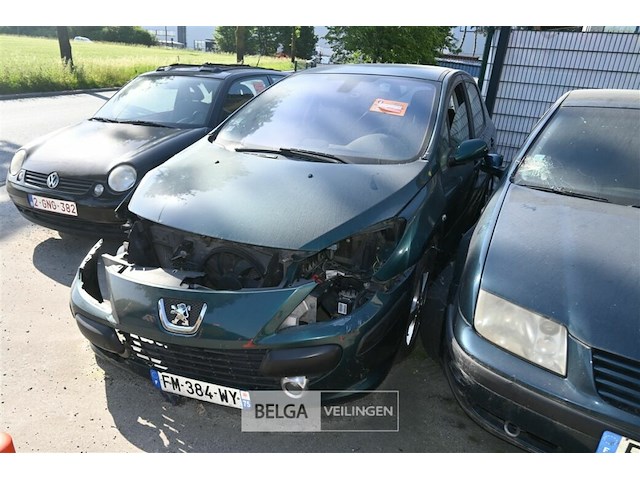 Peugeot 307, enkel voor vergunninghouders en erkende centra voor verschrotting - afbeelding 3 van  7