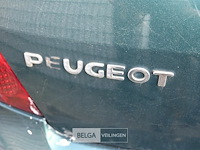 Peugeot 307, enkel voor vergunninghouders en erkende centra voor verschrotting - afbeelding 6 van  7