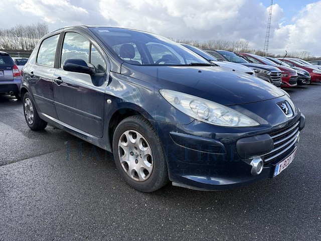 Peugeot 307 executive, 2007 - afbeelding 23 van  32