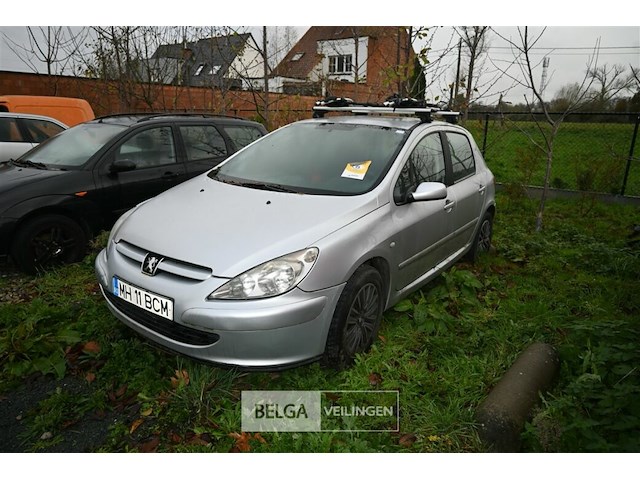 Peugeot 307 - afbeelding 2 van  12
