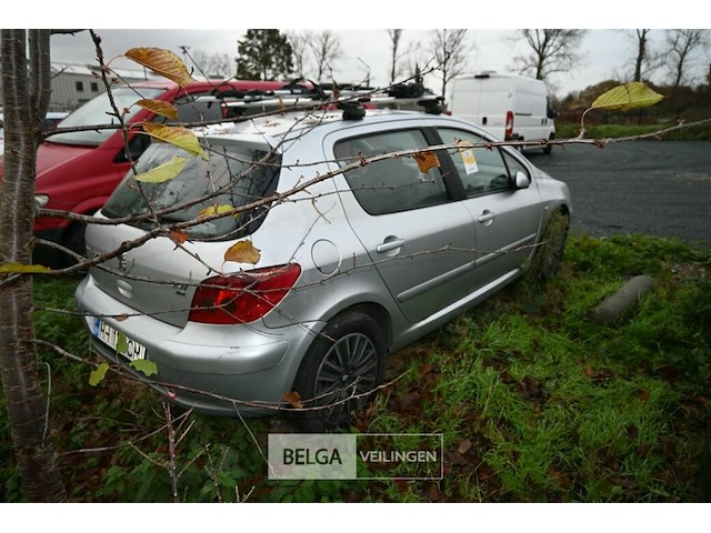 Peugeot 307 - afbeelding 8 van  12