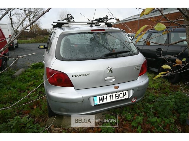 Peugeot 307 - afbeelding 9 van  12