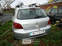 Peugeot 307 - afbeelding 9 van  12