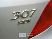 Peugeot 307 - afbeelding 11 van  12