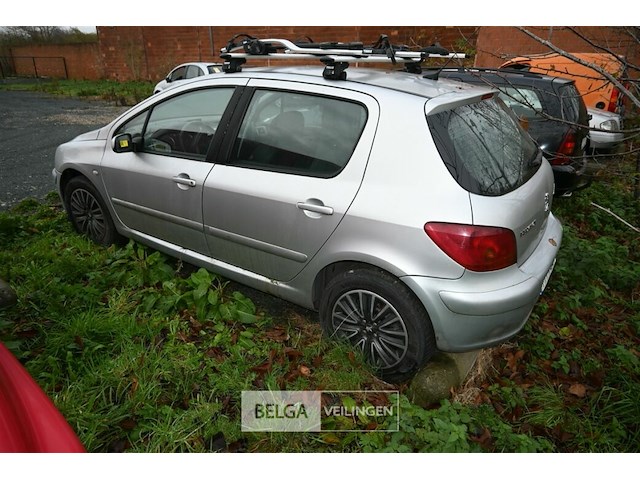 Peugeot 307 - afbeelding 12 van  12