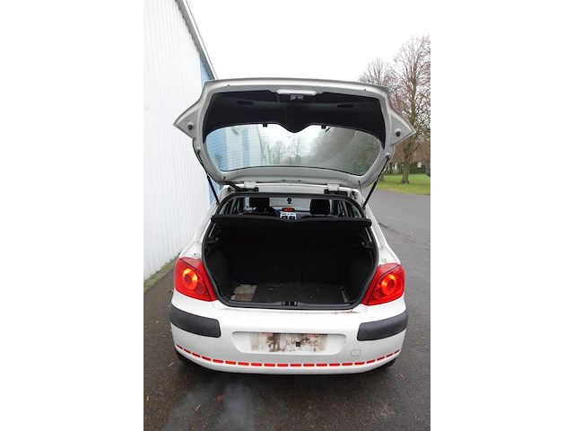 Peugeot 307 - afbeelding 5 van  20