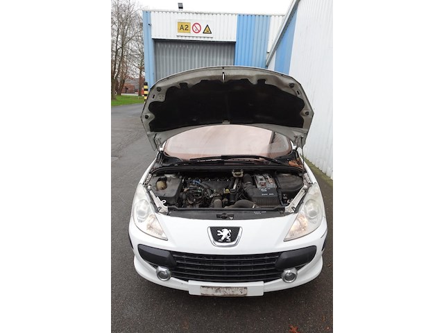 Peugeot 307 - afbeelding 7 van  20