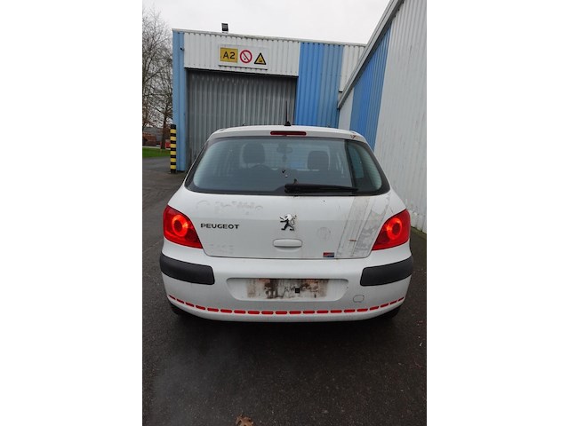 Peugeot 307 - afbeelding 15 van  20