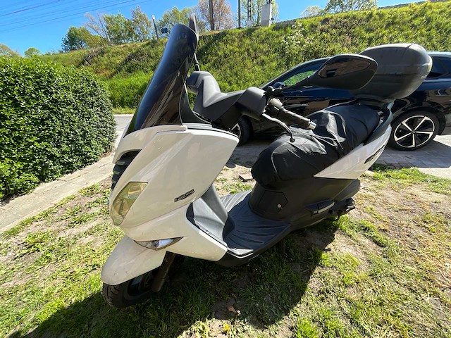 Peugeot citystar 125 scooter - afbeelding 16 van  19