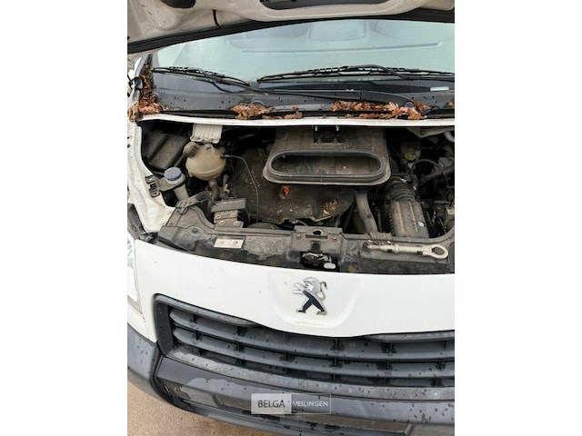 Peugeot expert lichte vracht - afbeelding 27 van  32
