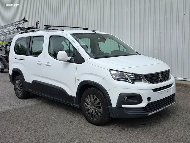 Peugeot rifter 2019 - afbeelding 12 van  42