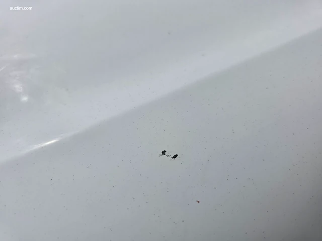 Peugeot rifter 2019 - afbeelding 33 van  42