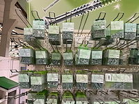 Pgb partij pfs+ schroeven - afbeelding 2 van  6