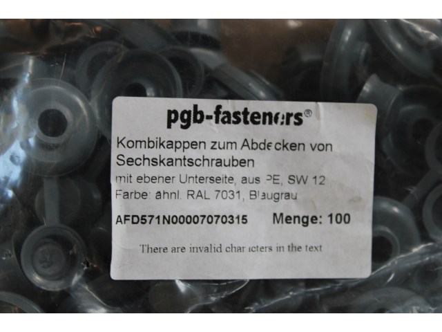 Pgbfast afdekdop houtdraadbout ø7/r7031/100 - afbeelding 2 van  2
