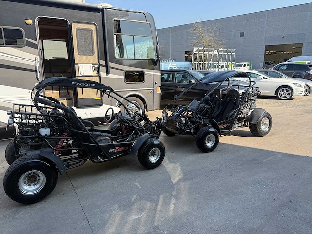 Pgo - bug rider - br250 - quad - afbeelding 1 van  15