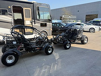 Pgo - bug rider - br250 - quad - afbeelding 1 van  15