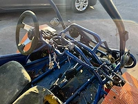Pgo 300 buggy - afbeelding 12 van  15