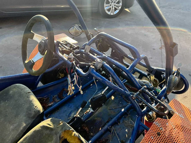 Pgo 300 buggy - afbeelding 8 van  13