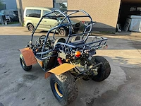 Pgo 300 buggy - afbeelding 2 van  15