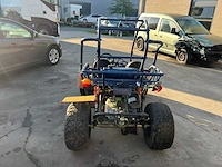 Pgo 300 buggy - afbeelding 4 van  15
