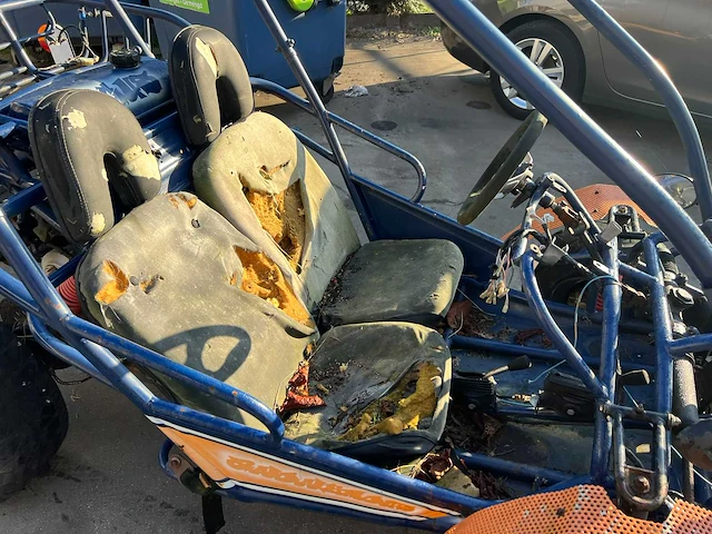 Pgo 300 buggy - afbeelding 5 van  15