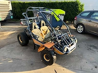 Pgo 300 buggy - afbeelding 6 van  15