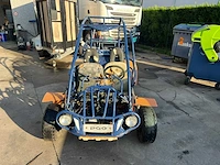 Pgo 300 buggy - afbeelding 7 van  15