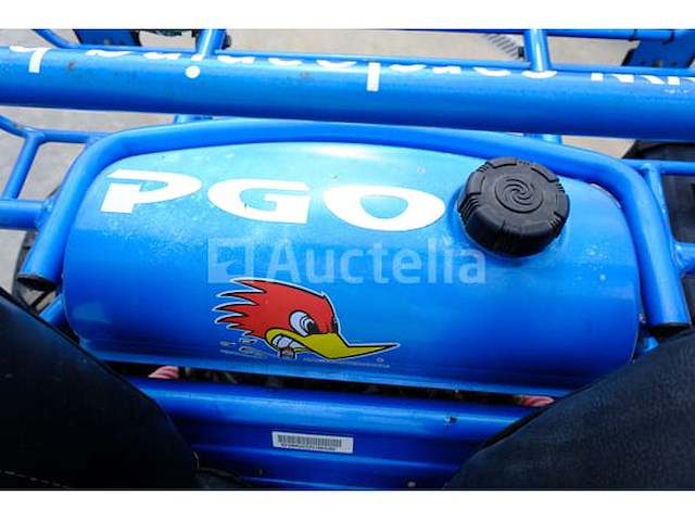 Pgo buxter benzinewagen - afbeelding 5 van  20