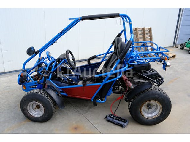 Pgo buxter benzinewagen - afbeelding 11 van  20