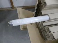 Philips-lampen en lichtbuizen in de verkoop - afbeelding 2 van  7