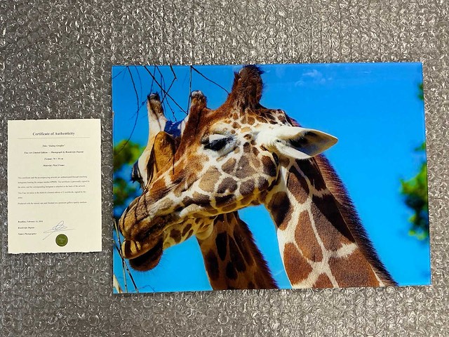 Photograph “eating giraffes” - afbeelding 1 van  3