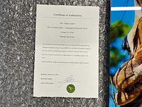 Photograph “eating giraffes” - afbeelding 3 van  3