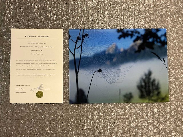 Photograph “spiderweb in morning dew” - afbeelding 1 van  3