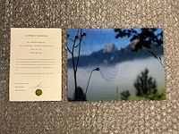 Photograph “spiderweb in morning dew” - afbeelding 1 van  3
