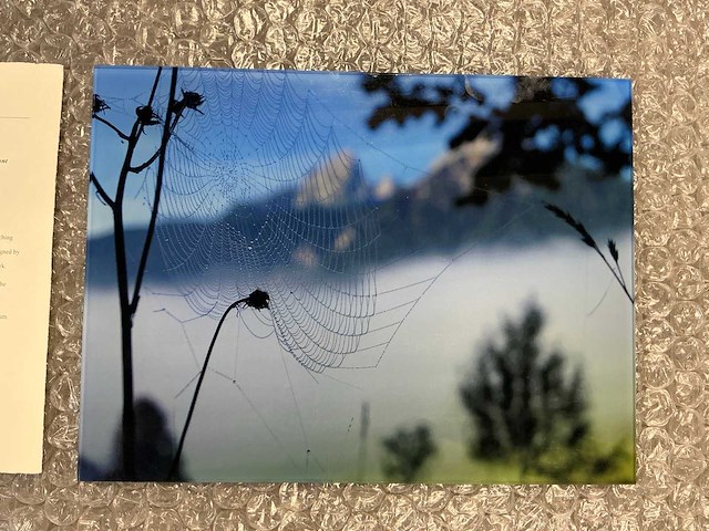 Photograph “spiderweb in morning dew” - afbeelding 2 van  3