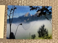 Photograph “spiderweb in morning dew” - afbeelding 2 van  3