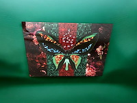 Pi-xl - print op glas - gucci - afbeelding 2 van  6