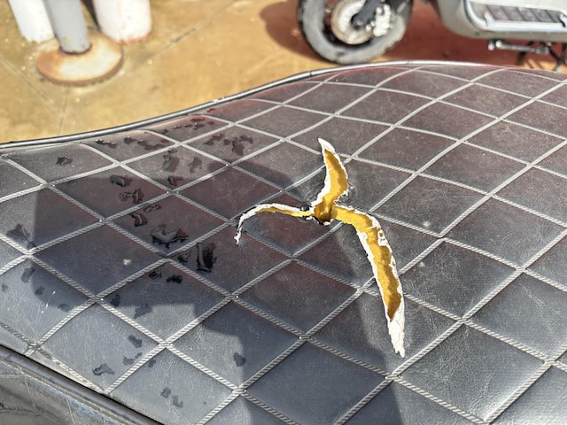 Piaggo vespa sprint - afbeelding 5 van  5