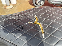 Piaggo vespa sprint - afbeelding 5 van  5