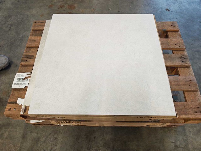 Piemme bits powder bone mat 80x80 cm tegel 4,48 m² - afbeelding 1 van  5