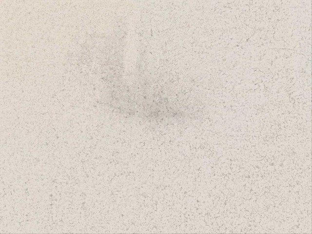 Piemme bits powder bone mat 80x80 cm tegel 4,48 m² - afbeelding 5 van  5