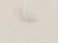 Piemme bits powder bone mat 80x80 cm tegel 4,48 m² - afbeelding 6 van  7