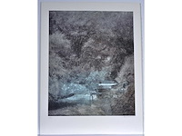 Piet bekaert - rustplaats in het bos - kleurenzeefdruk - 1/130 - afbeelding 1 van  4