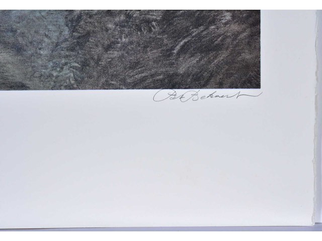 Piet bekaert - rustplaats in het bos - kleurenzeefdruk - 1/130 - afbeelding 3 van  4