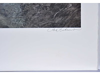 Piet bekaert - rustplaats in het bos - kleurenzeefdruk - 1/130 - afbeelding 3 van  4