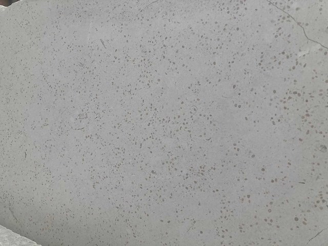 Pietra bicci massangis - afbeelding 6 van  7